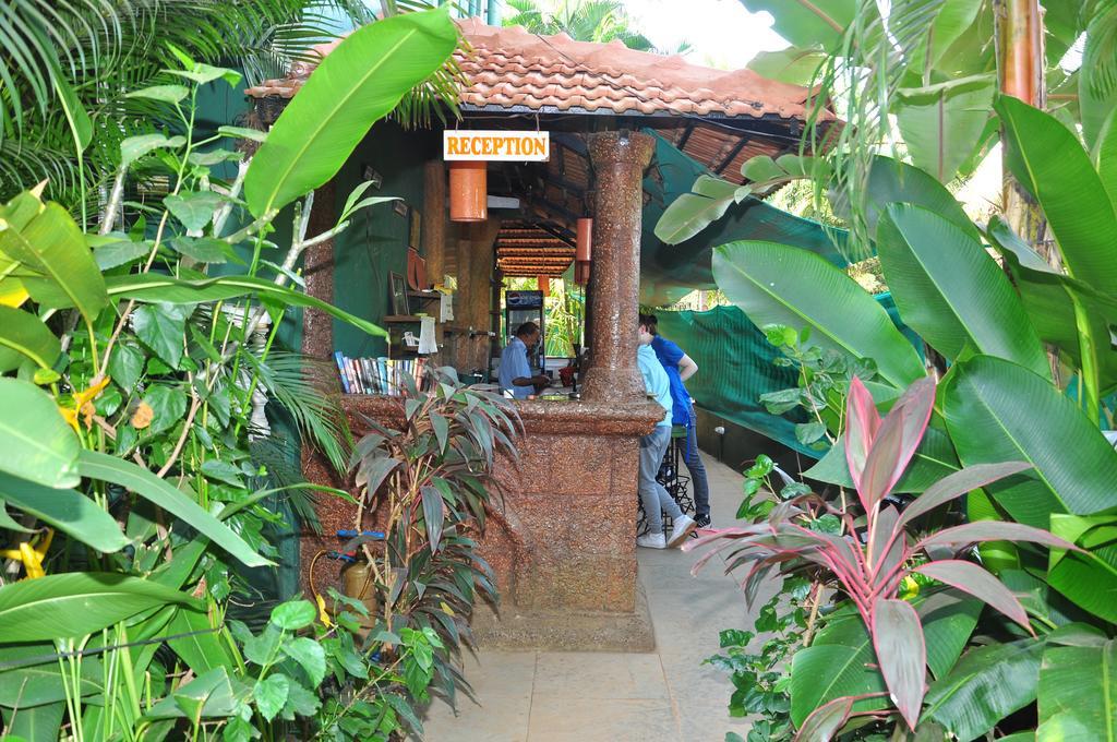 Villa Theresa Beach Resort Calangute Dış mekan fotoğraf