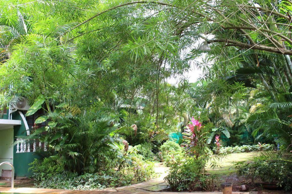 Villa Theresa Beach Resort Calangute Dış mekan fotoğraf