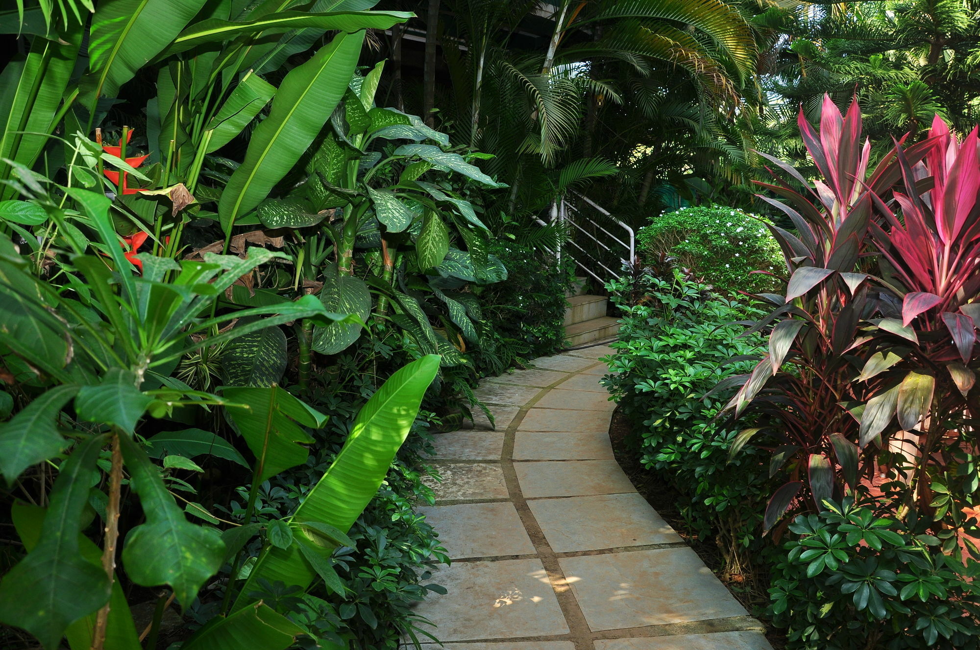 Villa Theresa Beach Resort Calangute Dış mekan fotoğraf